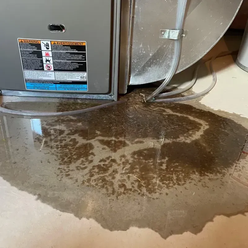 Appliance Leak Cleanup in Camillus, NY